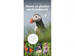 KNNV10 minigids dieren en planten Scandinavie