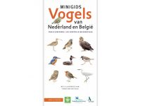 Minigids_Vogel_van_Nederland_en_België