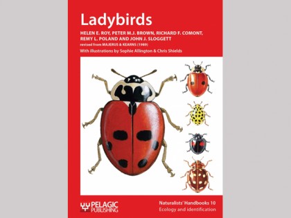 NH09 Ladybirds