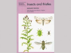 NH22 Insects and thistles