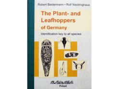 7.511a The Plant- en Leafhoppers