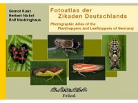 7.573 Fotoatlas der Zikaden Deutschlands