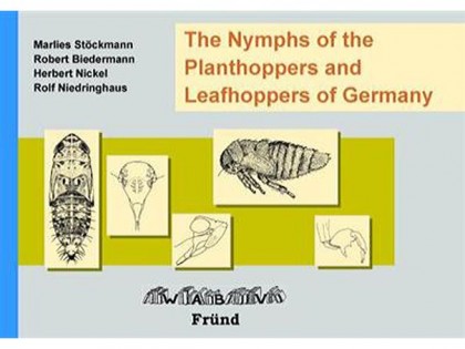 7.574 The Nymphs of the Planthoppers