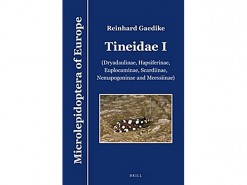 9.627 vol 7 Tineidae I