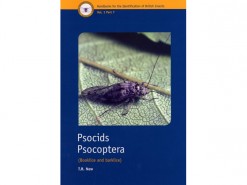FSC7001 Psocids Psocoptera