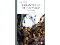 NAP31 Tarantulas of the World