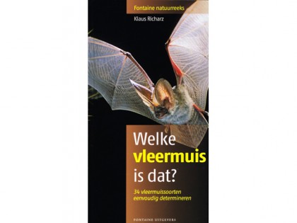 welke vleermuis is dat