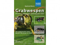 7.319 Grabwespen