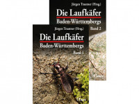 8.104 Die Laufkafer Baden Wurttembergs