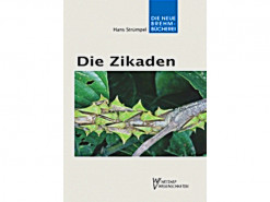 NBB11Die Zikaden