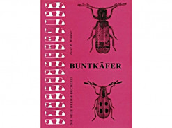 NBB13 Buntkafer