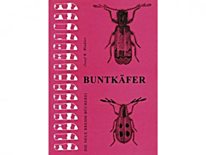 NBB13 Buntkafer