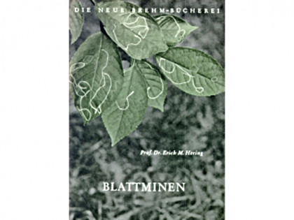 NBB14 Blattminen