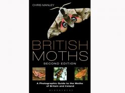 9-003-british-moths