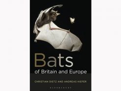 bats-bats-of-brittain