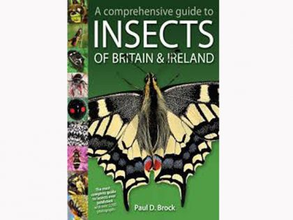 7.905 a-comprehensive-guide-to-insects