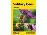 NH33 Soltary bees