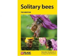 NH33 Soltary bees