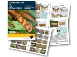 ALS01 ConiferMoths-of-the-British-Isles