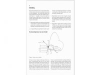 9.488 Dagvlinders-Veldgids-voor-Europa-en-Noordwest-Afrika-binnen1