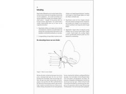 9.488 Dagvlinders-Veldgids-voor-Europa-en-Noordwest-Afrika-binnen1