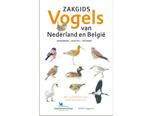Zakgids vogels van Nederland en Belgie - Vermandel.com