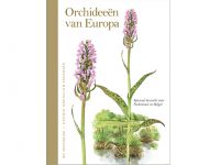 TI47Orchideen Europa