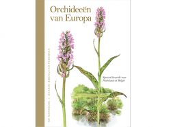 TI47Orchideen Europa