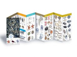 NW03 Natuurwijzer Kust