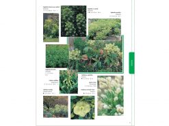 TI87 Tuinplantenencyclopedie binnen1