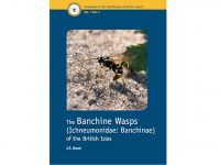 7.312 The Banchine Wasps