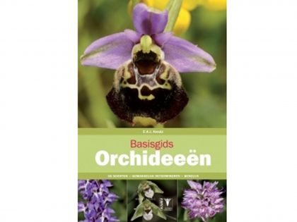 basisgids-orchideen
