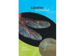 7.111 Libellen in Zeeland