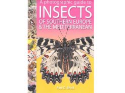 7.905a A Photographic Guide to Insects of Southern Europe