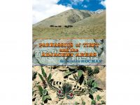 TSH33 Parnassius of Tibet