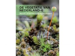 vegetatie-van-Nederland-6--Mossen-en-korstmossen