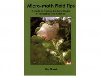 9.598 Micro-moth Field Tips