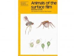 NH13 Animals of the surface film