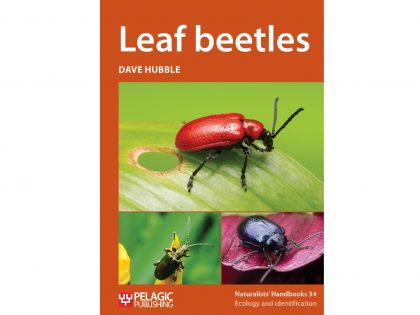 NH34 Leaf beetles
