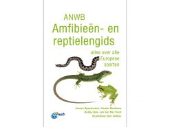 KM01 Veldgids Amfibieen en Reptielen