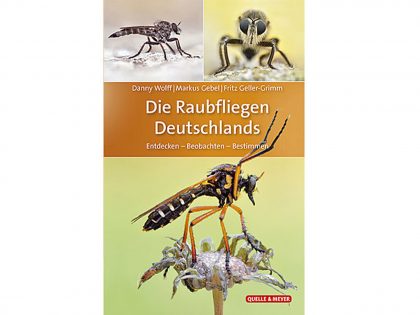 raubfliegen-deutchlands