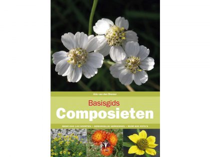 BG02 Basisgids Composieten