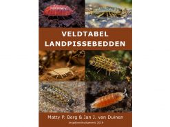 JB22 Veldtabel Landpissebedden