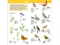 KNNV66 Minigids Boerenlandvogels binnen1