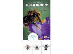 knnv63 Minigids Bijen en Hommels