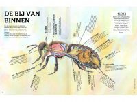 handboek-bijenfans-1