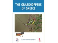 7.416 Grasshoppers of Greece