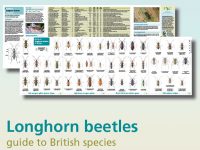 FSC17 Guide to Longhorn beetles binnenzijde