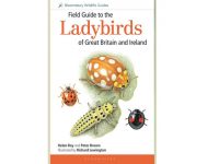 8.199 Field Guide to the Ladybirds GB and Ieeland