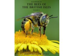 7.294 Bees of British Isles vol.2